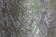 Wakes Colne fibreglass roof work